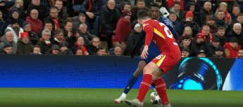 1741733771155059573.gif 利巴41.gif